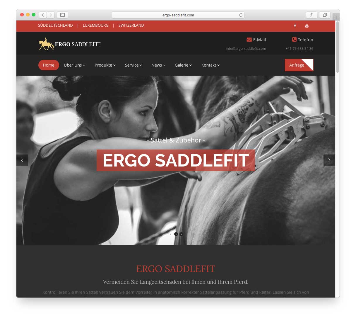 Ergo Saddlefit (Relaunch)